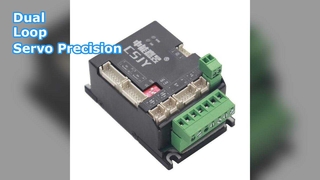 デュアルループサーボドライバー